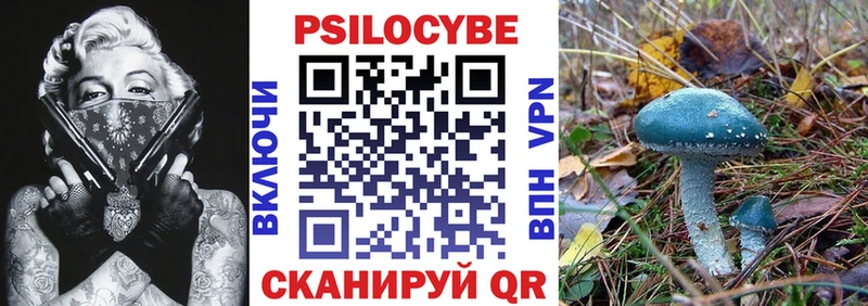 закладки  нарко площадка телеграм  ссылка на мегу вход  Псилоцибиновые грибы Cubensis  Перевоз 