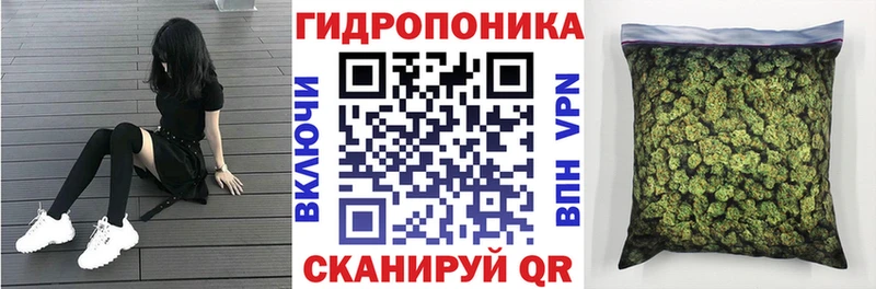 Бошки Шишки марихуана  Перевоз 